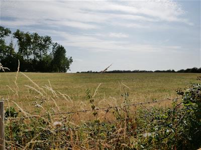 Picture 6